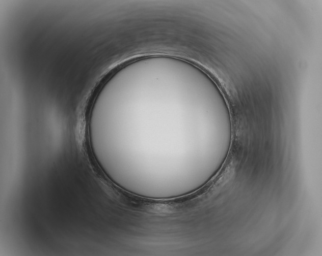 X0000103131507200809051558
