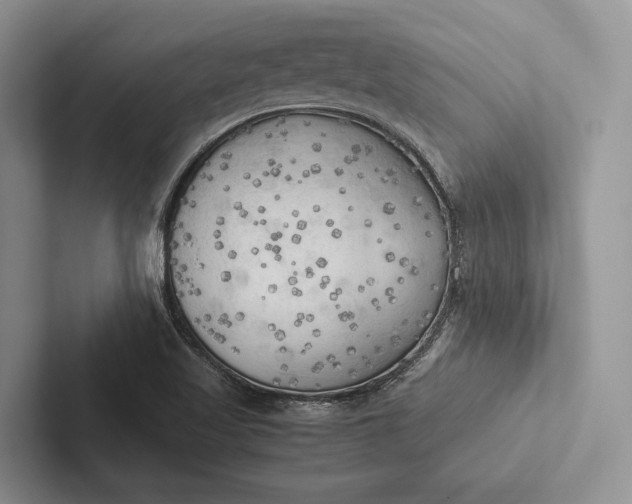 X0000103131509200809051558
