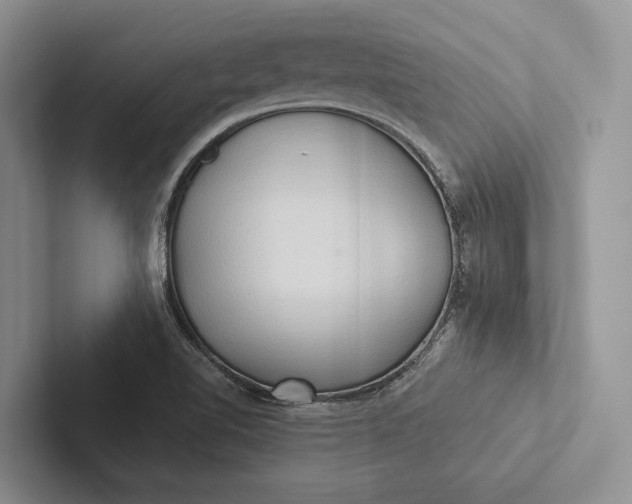 X0000103131510200809051558
