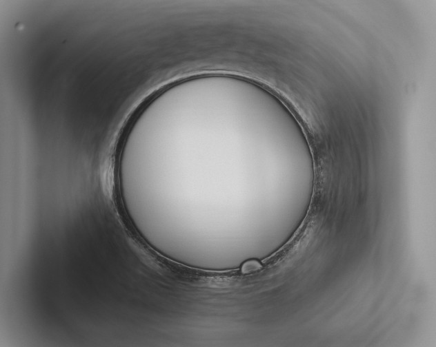 X0000103131511200809051558
