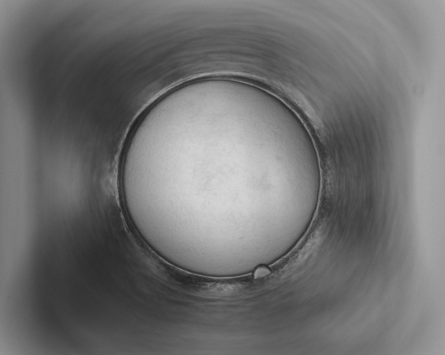 X0000103131513200809051558