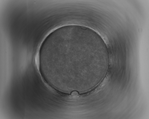 X0000103131515200809051558