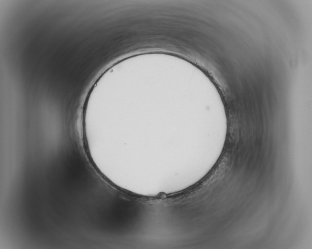 X0000103131516200809051558
