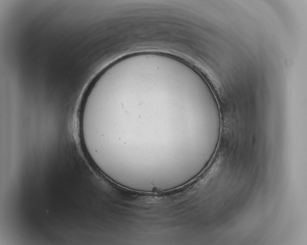 X0000103131517200809051558