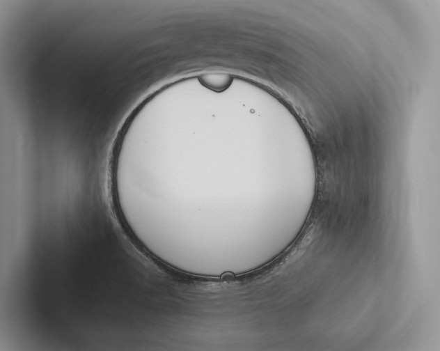 X0000103131518200809051558