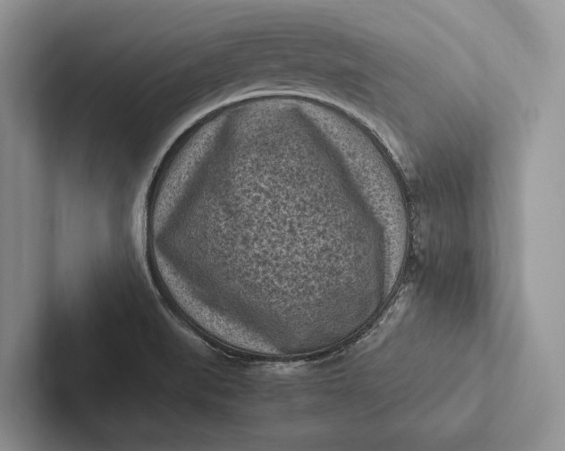 X0000103131519200809051558