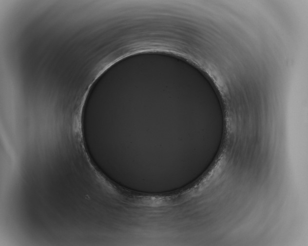 X0000103131521200809051558