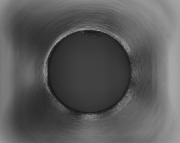 X0000103131522200809051558