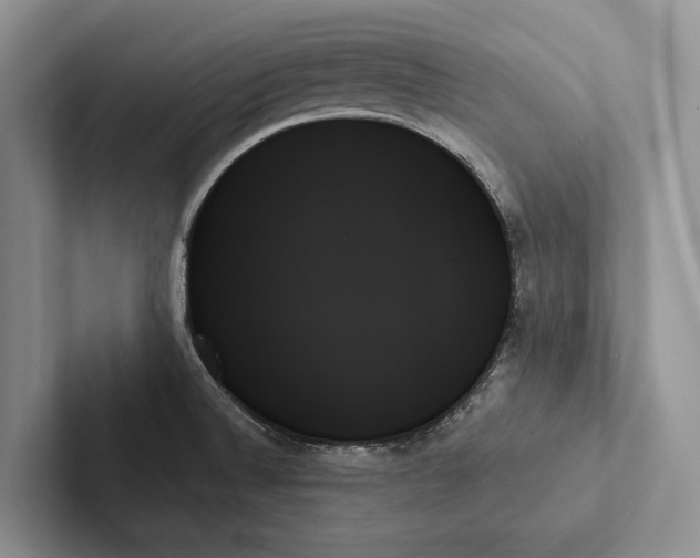 X0000103131524200809051558