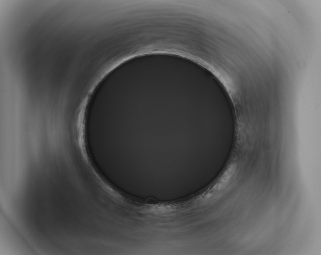 X0000103131525200809051558