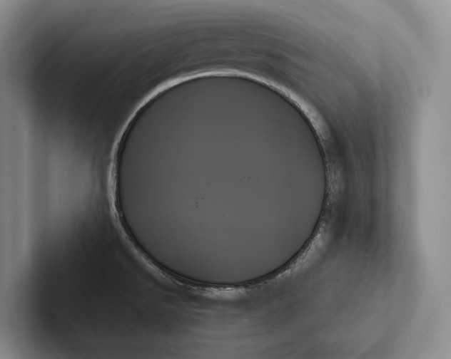 X0000103131526200809051558