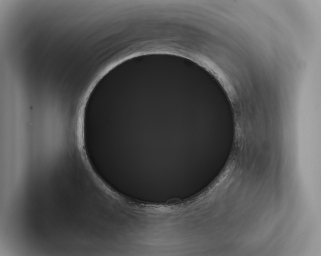 X0000103131528200809051558