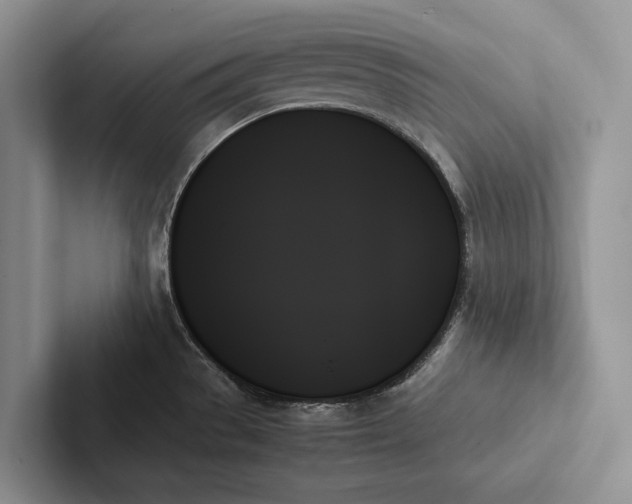 X0000103131529200809051558
