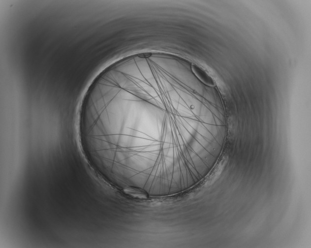 X0000103131530200809051558