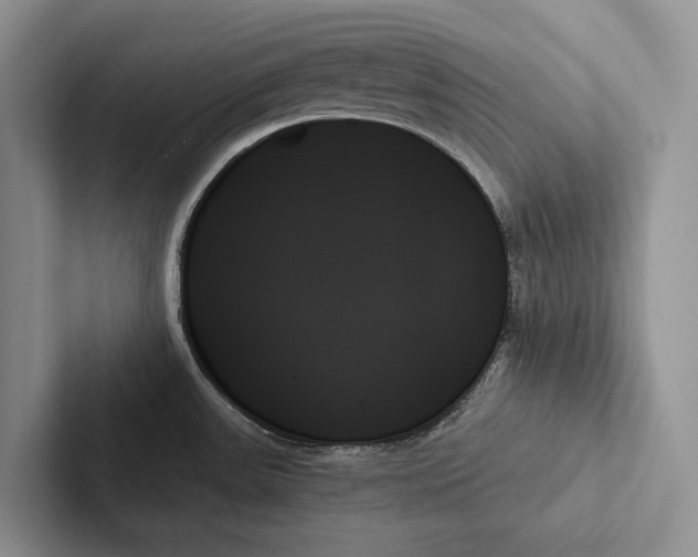 X0000103131531200809051558