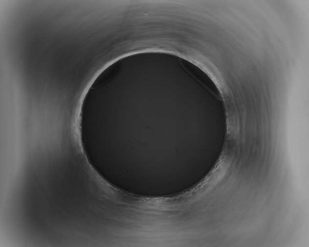 X0000103131532200809051558