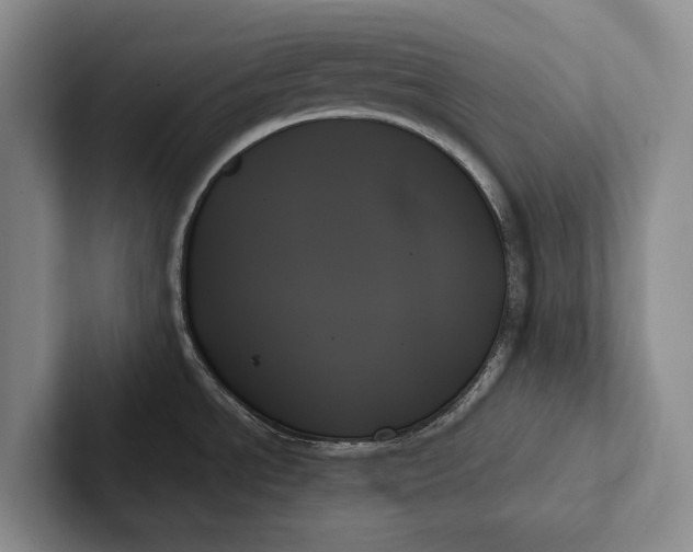 X0000103131534200809051558