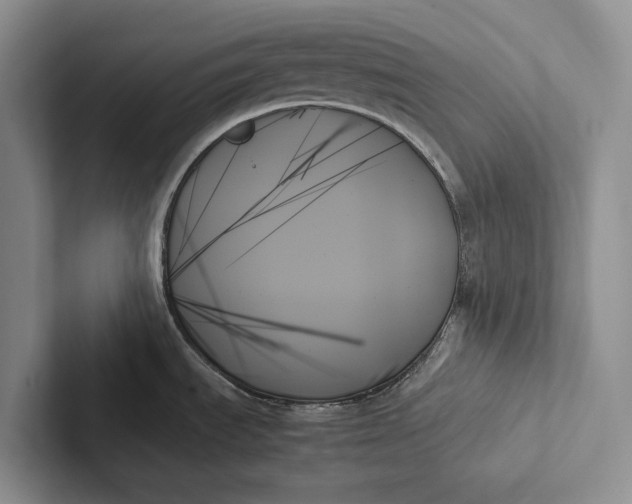 X0000103131535200809051558