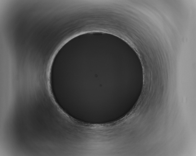 X0000103131536200809051558