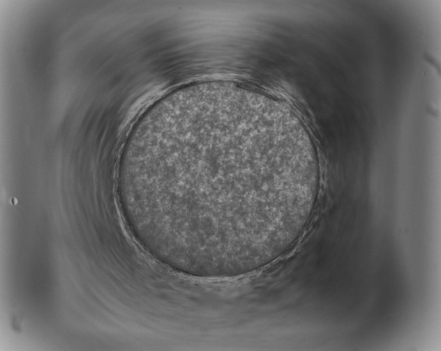 X0000103130001200809121742