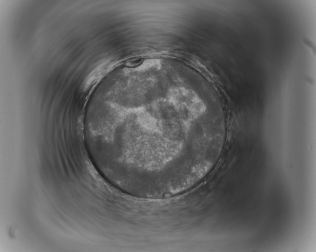 X0000103130002200809121742