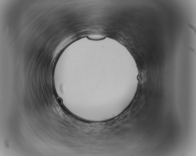 X0000103130004200809121742