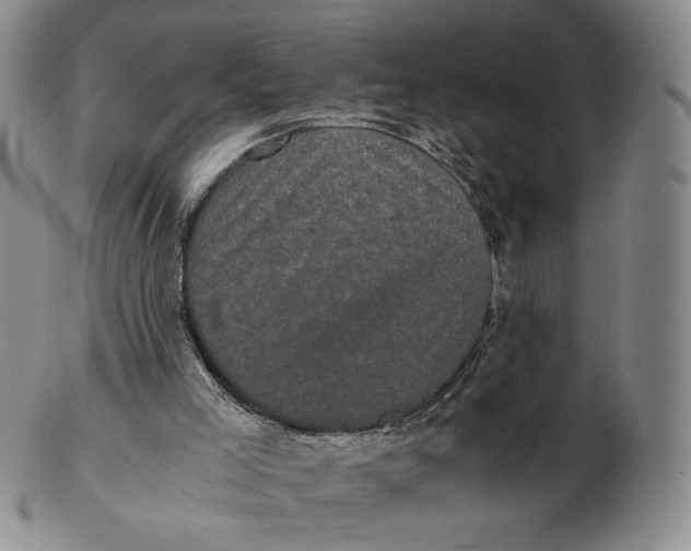 X0000103130005200809121742