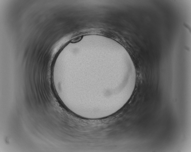 X0000103130006200809121742