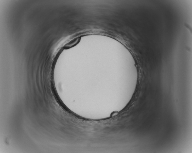 X0000103130007200809121742