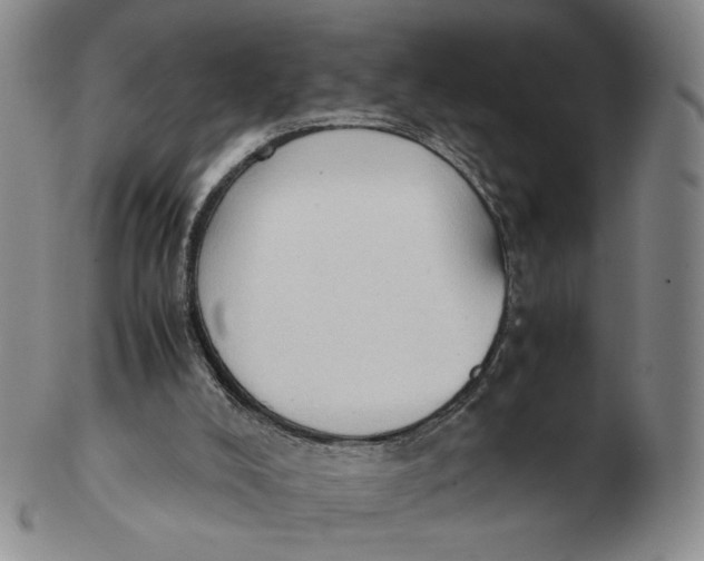 X0000103130008200809121742
