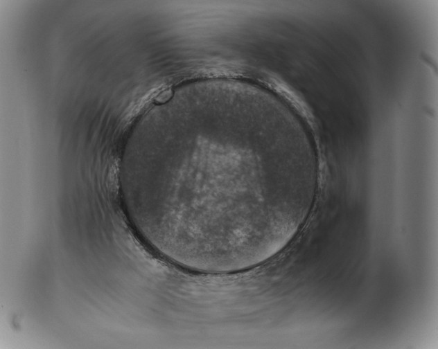 X0000103130009200809121742