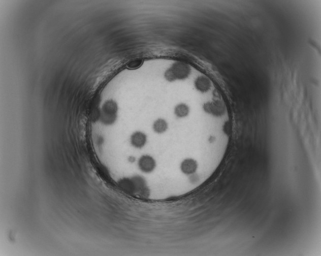 X0000103130010200809121742