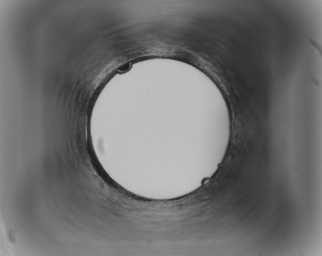 X0000103130011200809121742