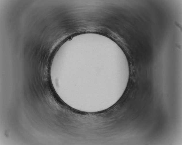 X0000103130012200809121742