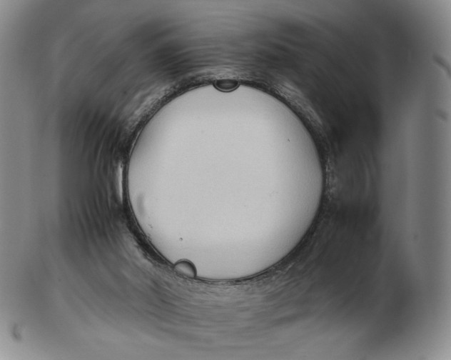 X0000103130014200809121742