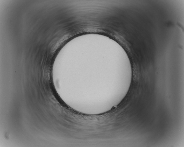 X0000103130015200809121742