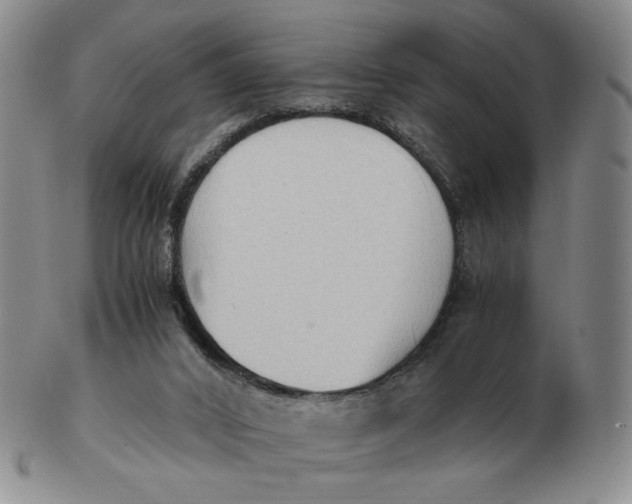 X0000103130016200809121742