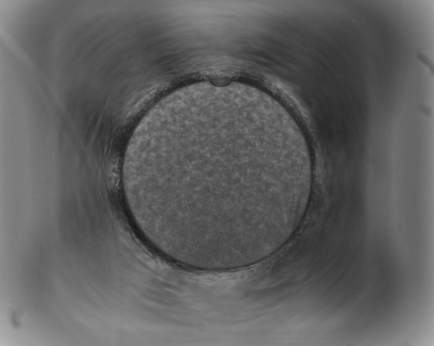 X0000103130017200809121742