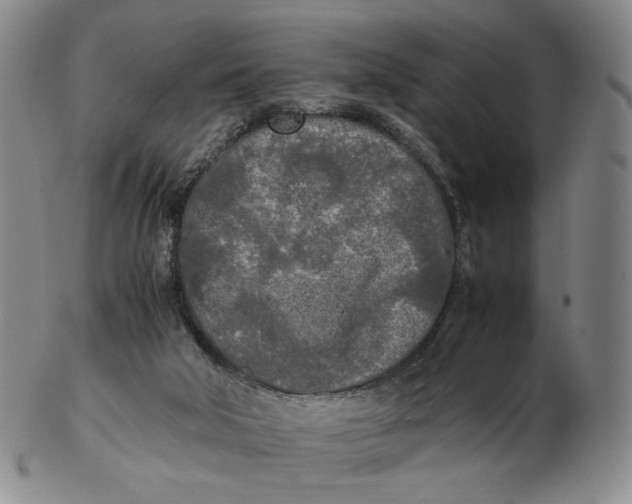 X0000103130018200809121742