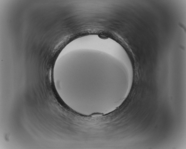 X0000103130019200809121742