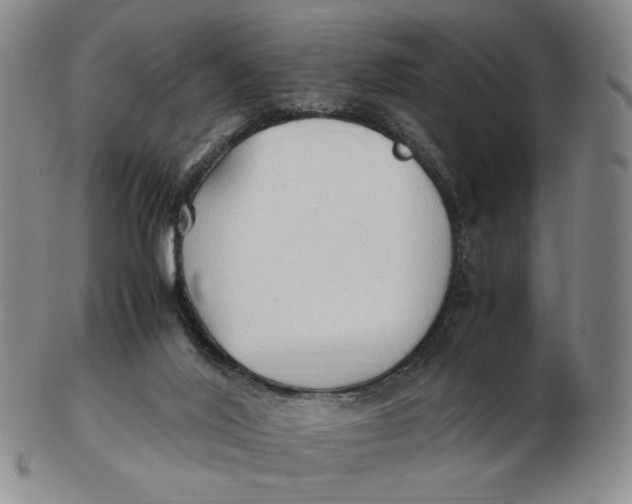 X0000103130020200809121742