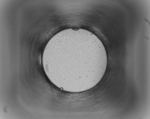 X0000103130021200809121741