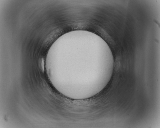 X0000103130022200809121741
