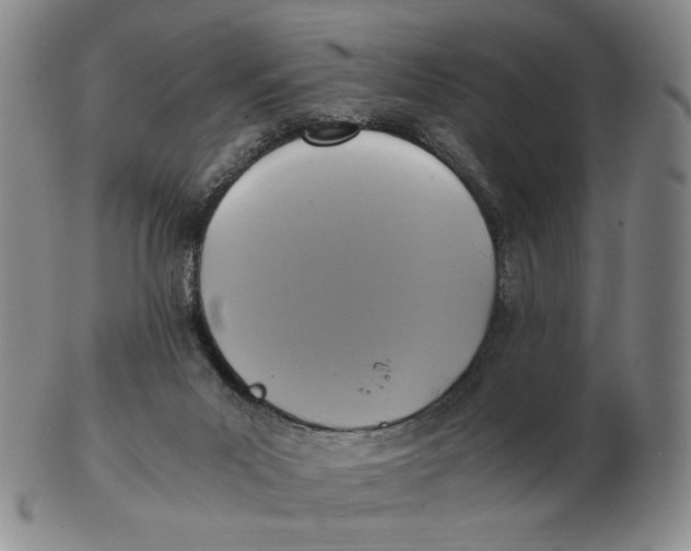 X0000103130023200809121741
