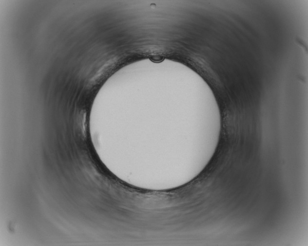 X0000103130024200809121741