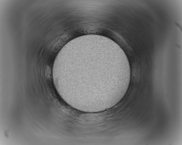 X0000103130025200809121741