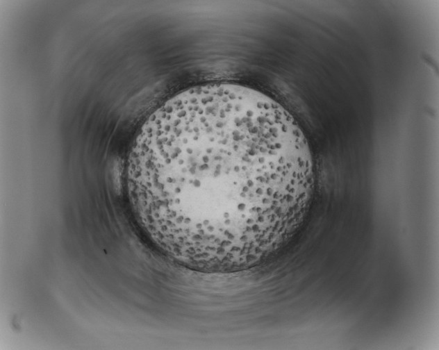 X0000103130026200809121741