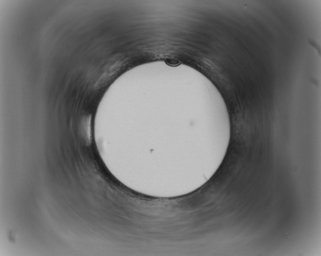 X0000103130028200809121741