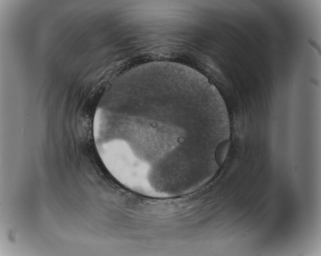 X0000103130029200809121741