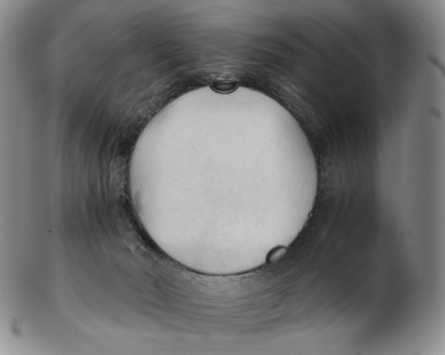 X0000103130030200809121741